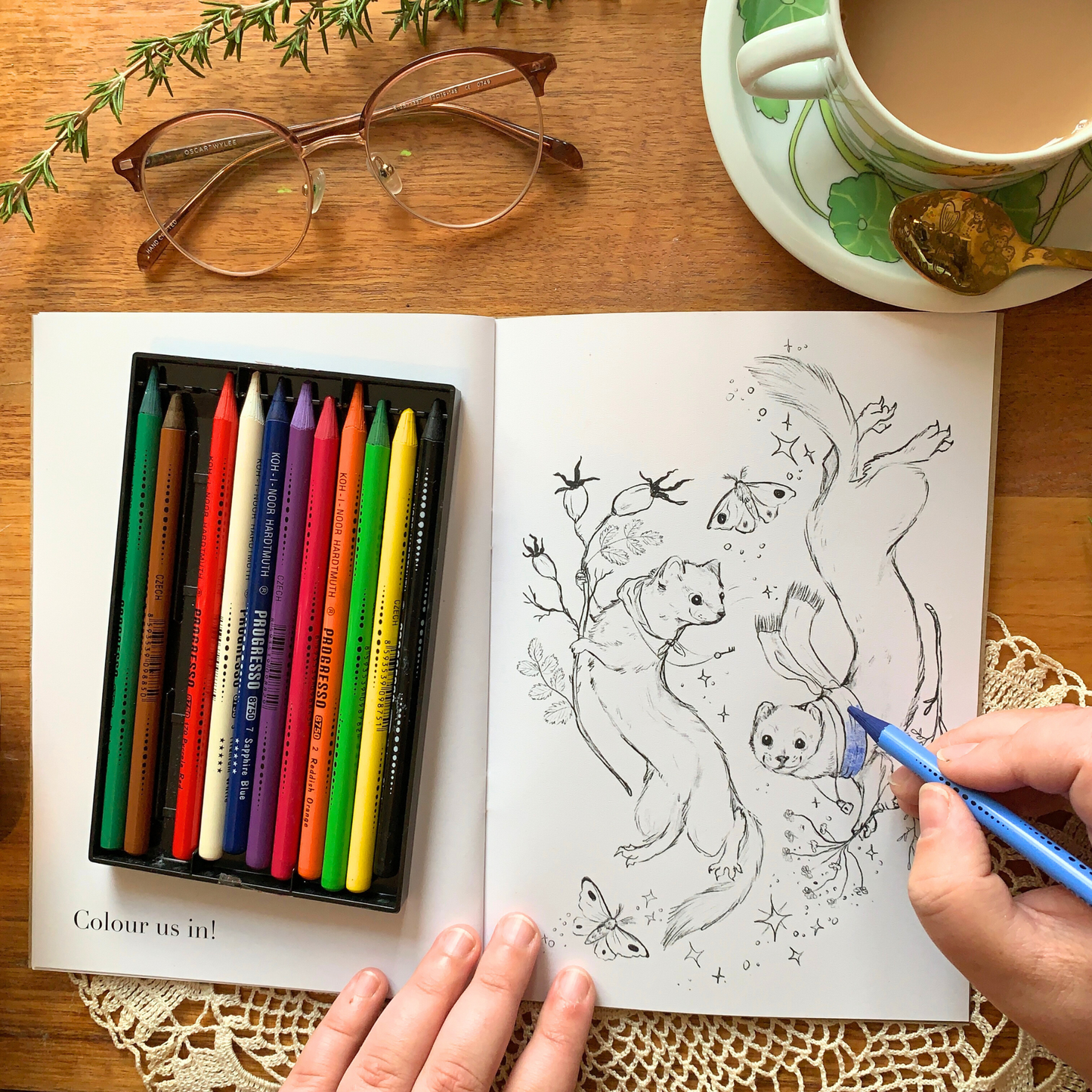 Activity Book - Cosiness