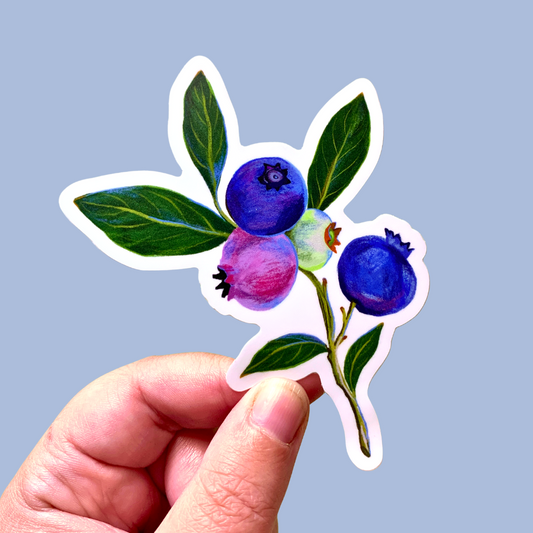 Sticker - Blueberries - Matte waterproof vinyl
