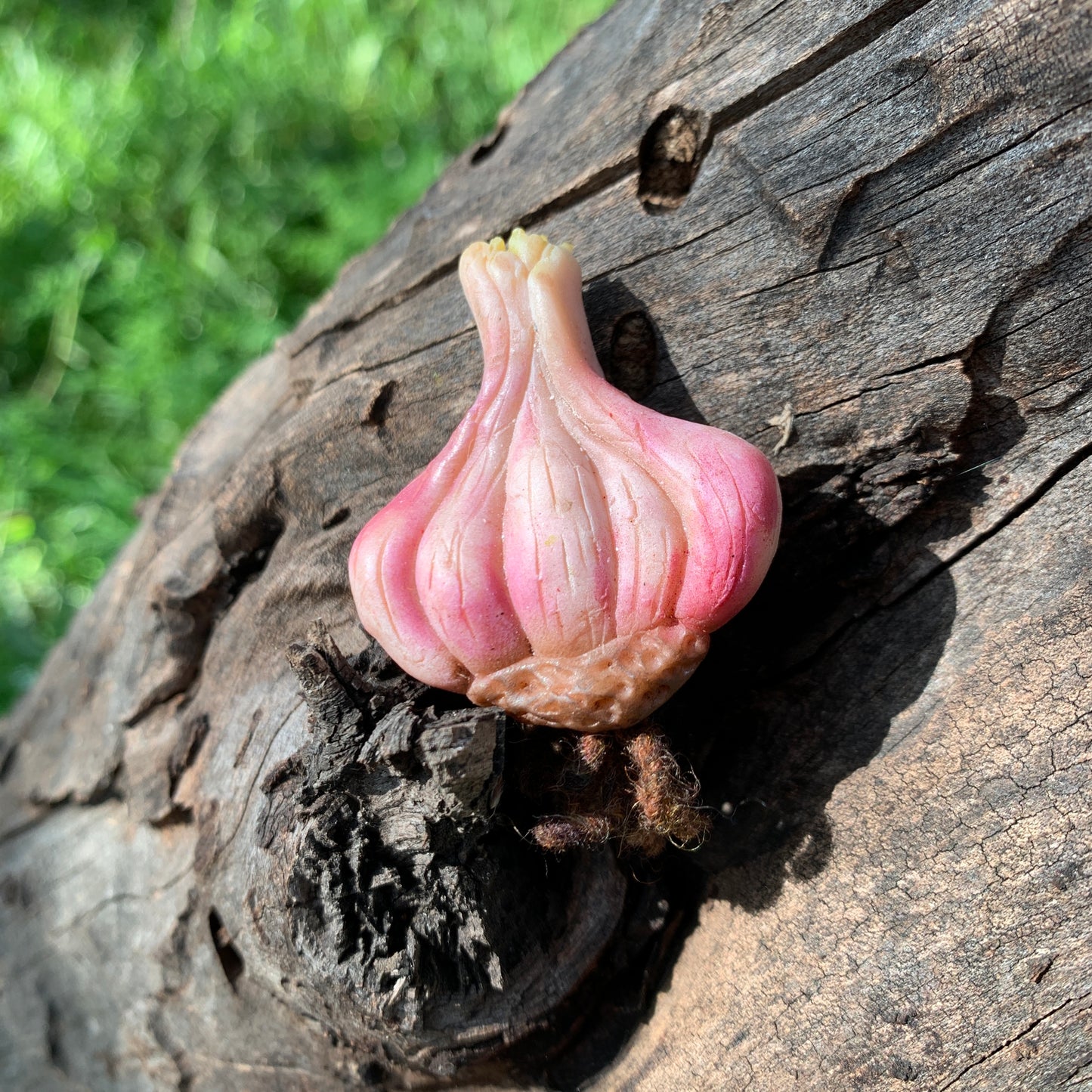 Anna Seed Art | Brooch - Garlic. Handmade Polymer Clay Brooch