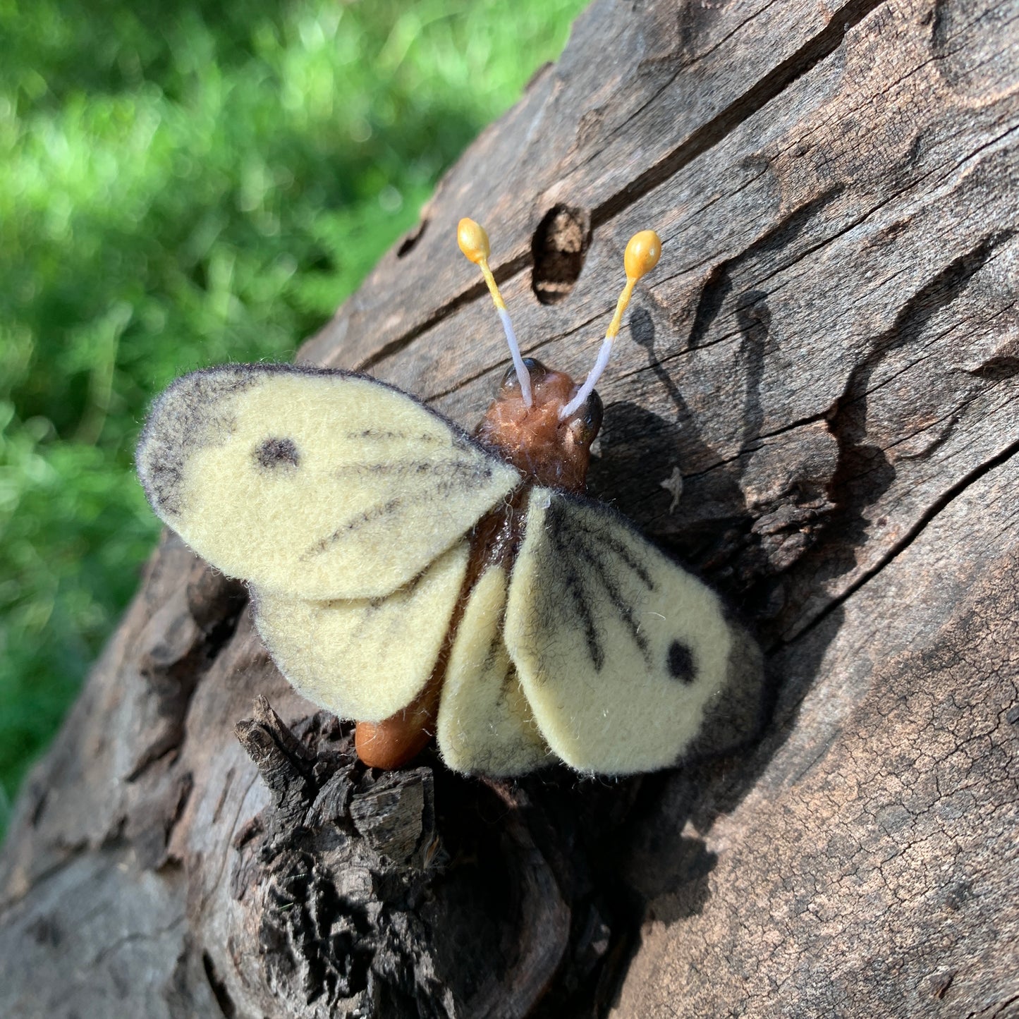 Anna Seed Art | Brooch - Moth. Handmade Polymer Clay Brooch