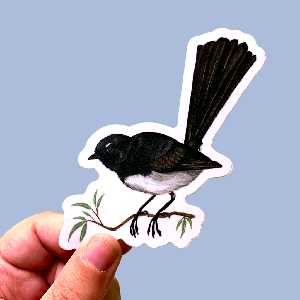 Sticker - Willie Wagtail - Matte waterproof vinyl