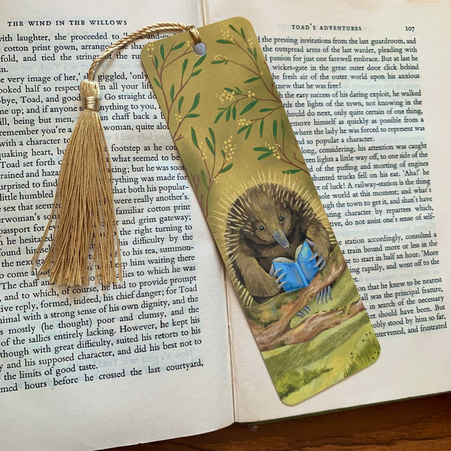 Anna Seed Art | Bookmark - Echidna - Cute illustration