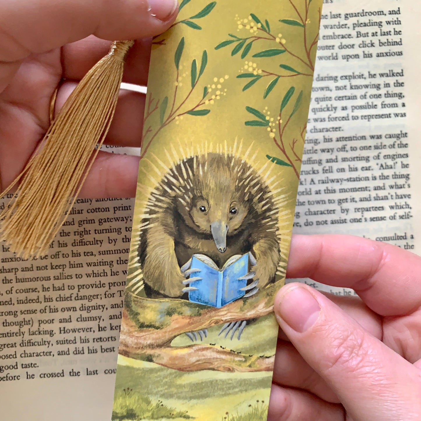Anna Seed Art | Bookmark - Echidna - Cute illustration