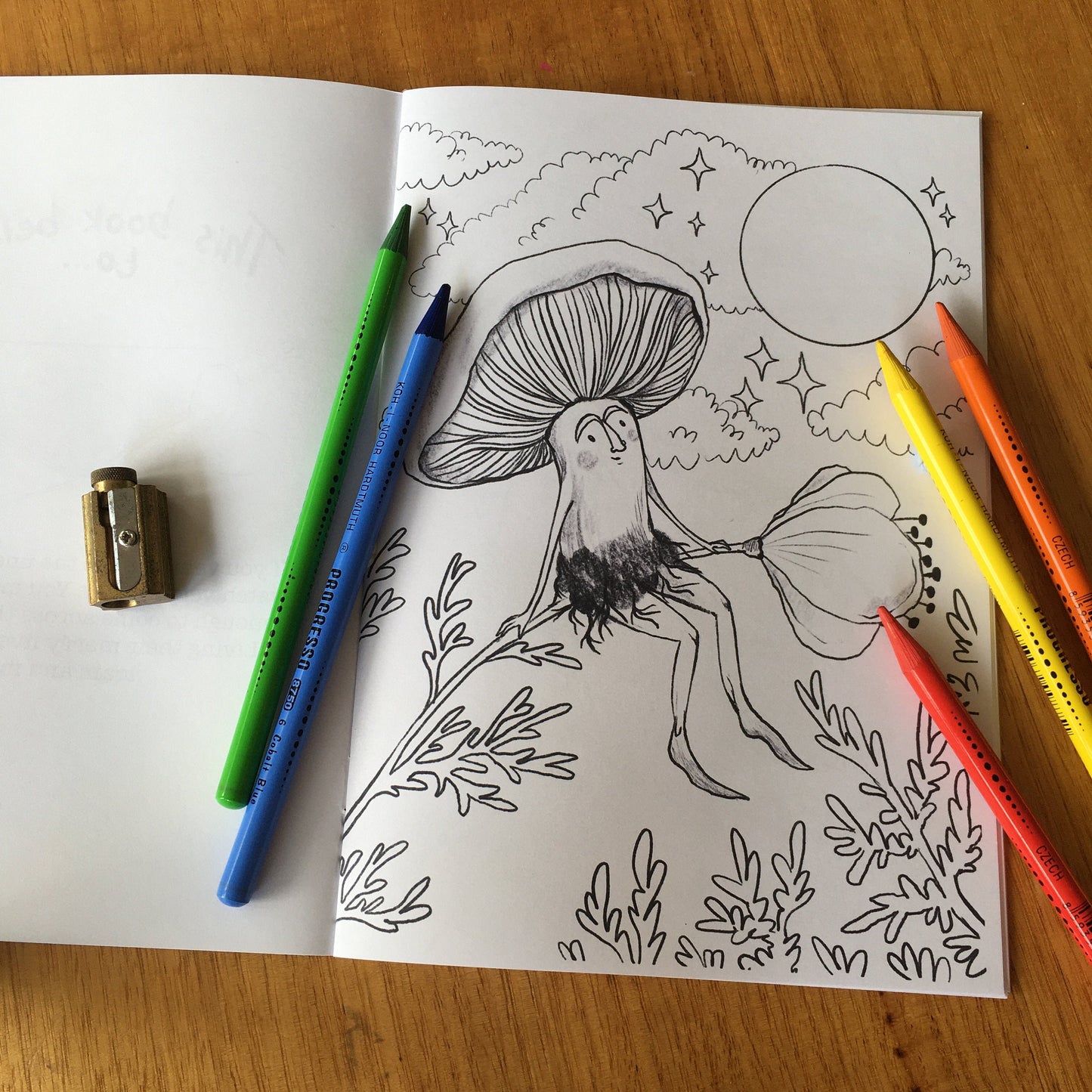 Anna Seed Art | Colouring Book - Mushrooms