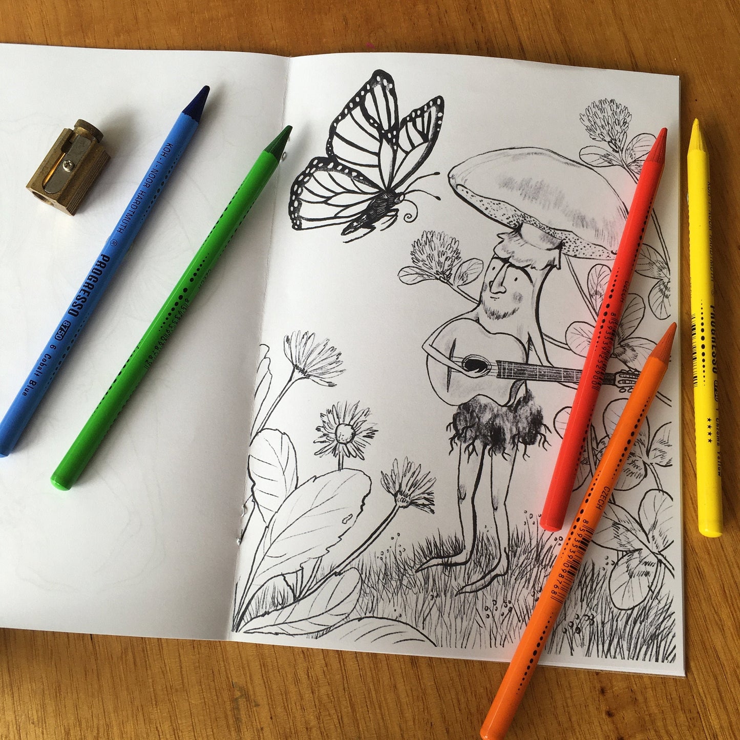 Anna Seed Art | Colouring Book - Mushrooms