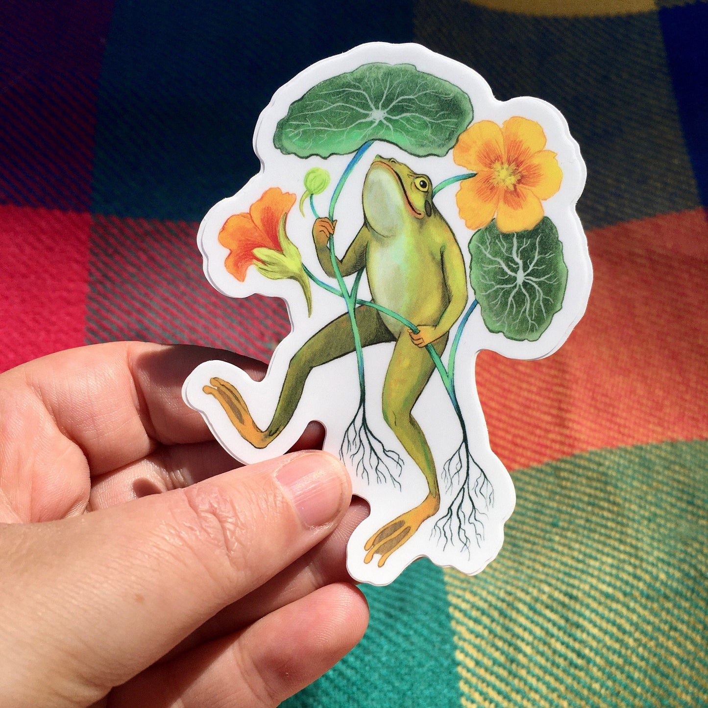 Anna Seed Art | Sticker - Happy Frog - Matte waterproof vinyl