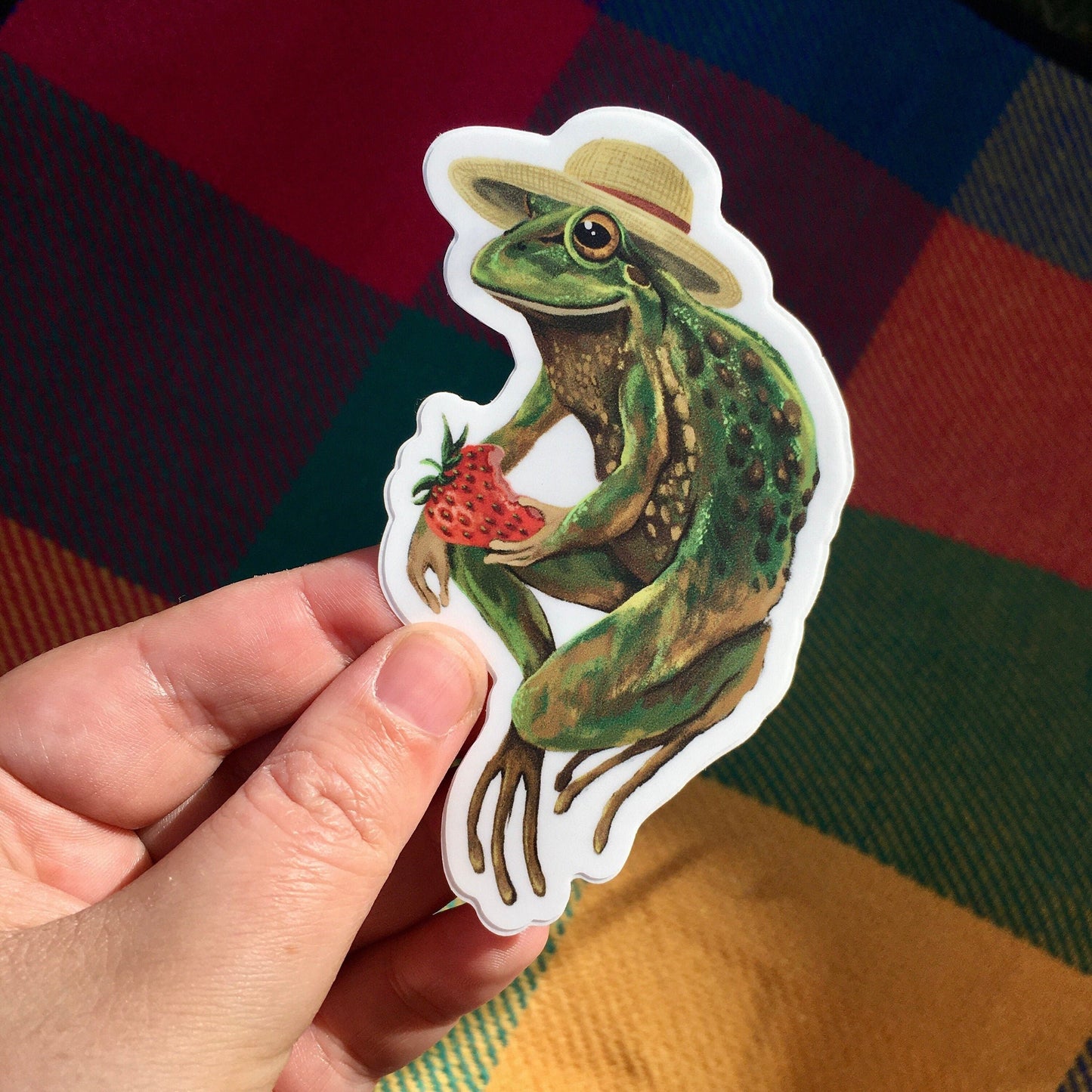 Anna Seed Art | Sticker - Froggie Picnic - Matte waterproof vinyl