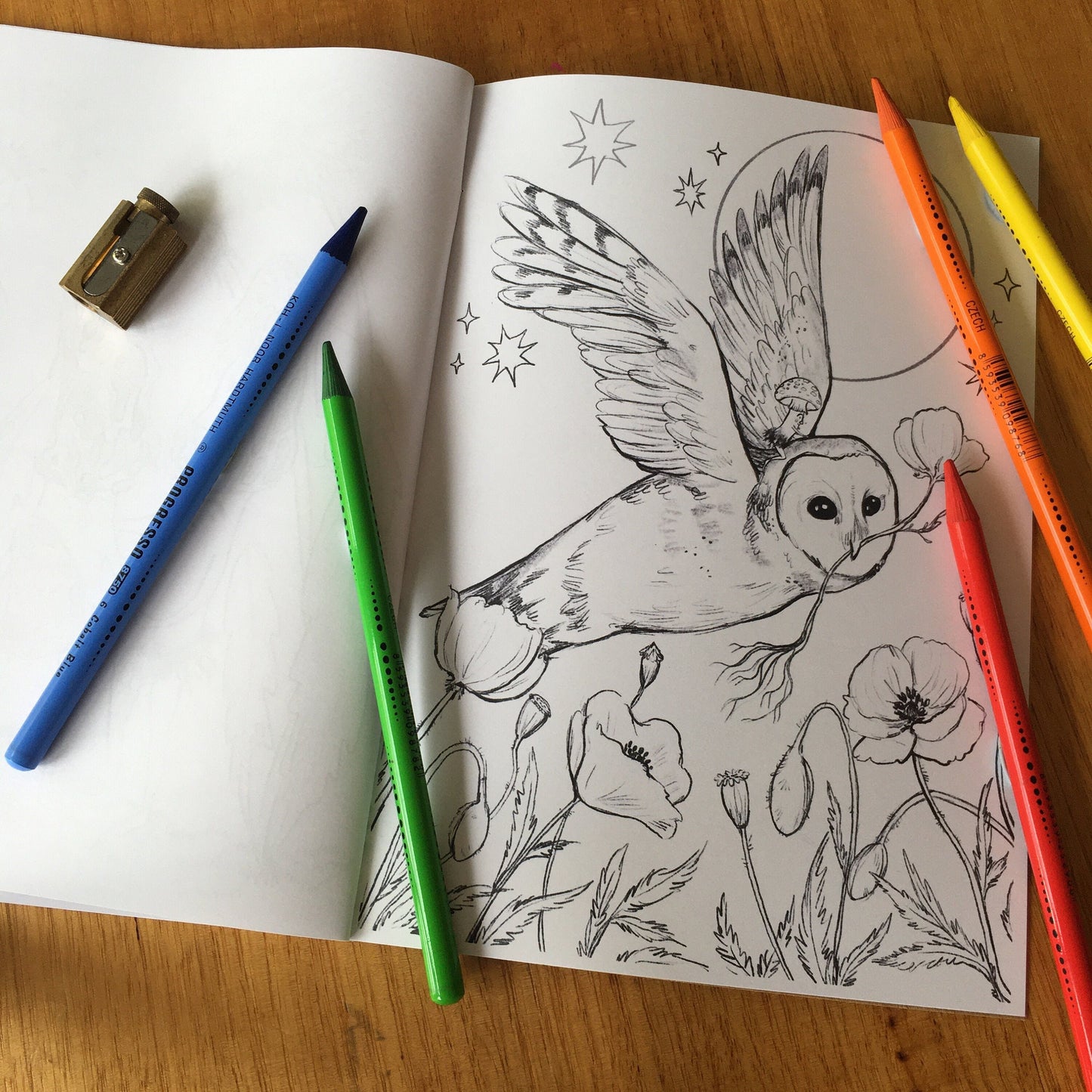 Anna Seed Art | Colouring Book - Mushrooms