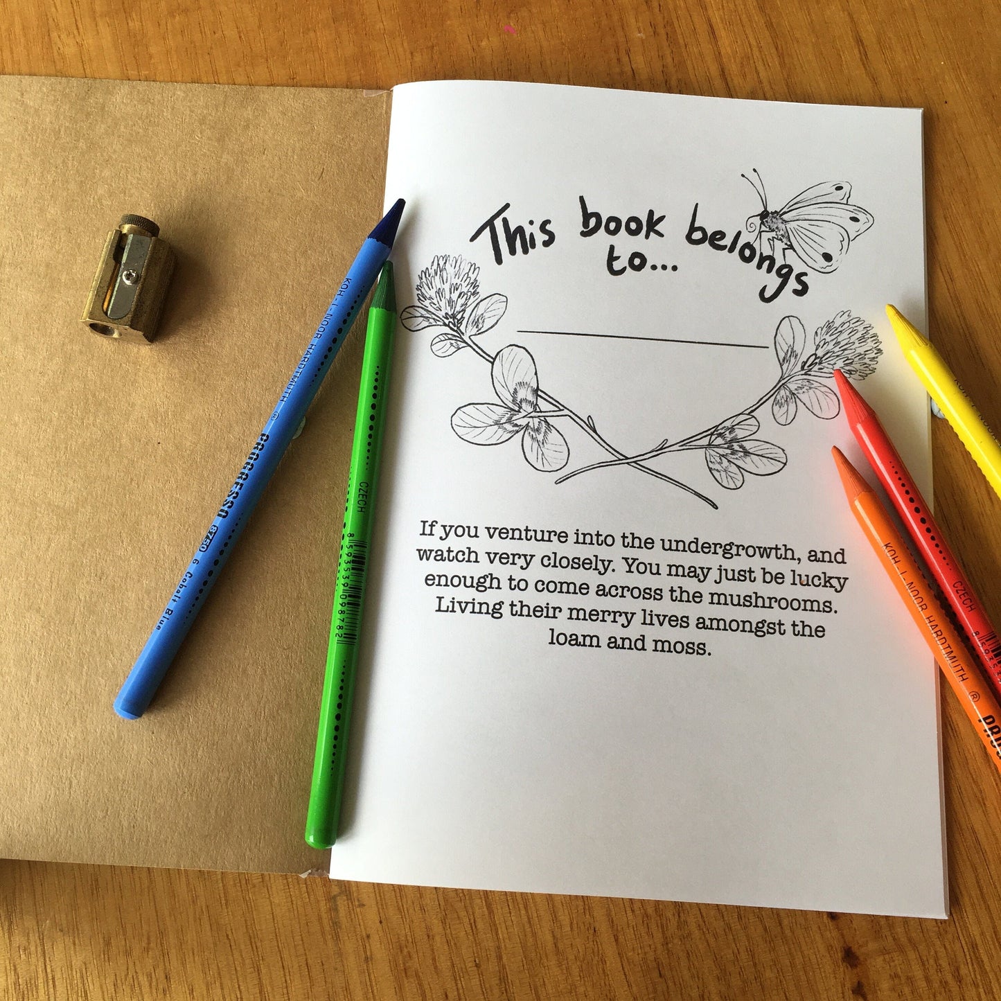 Anna Seed Art | Colouring Book - Mushrooms