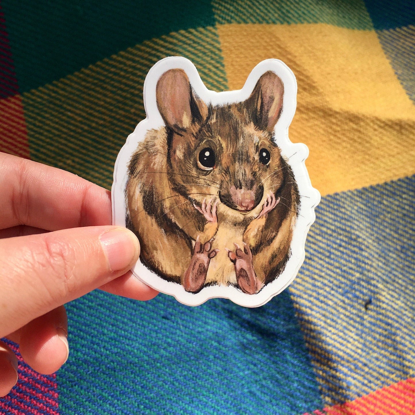 Anna Seed Art | Sticker - Field Mouse - Matte waterproof vinyl