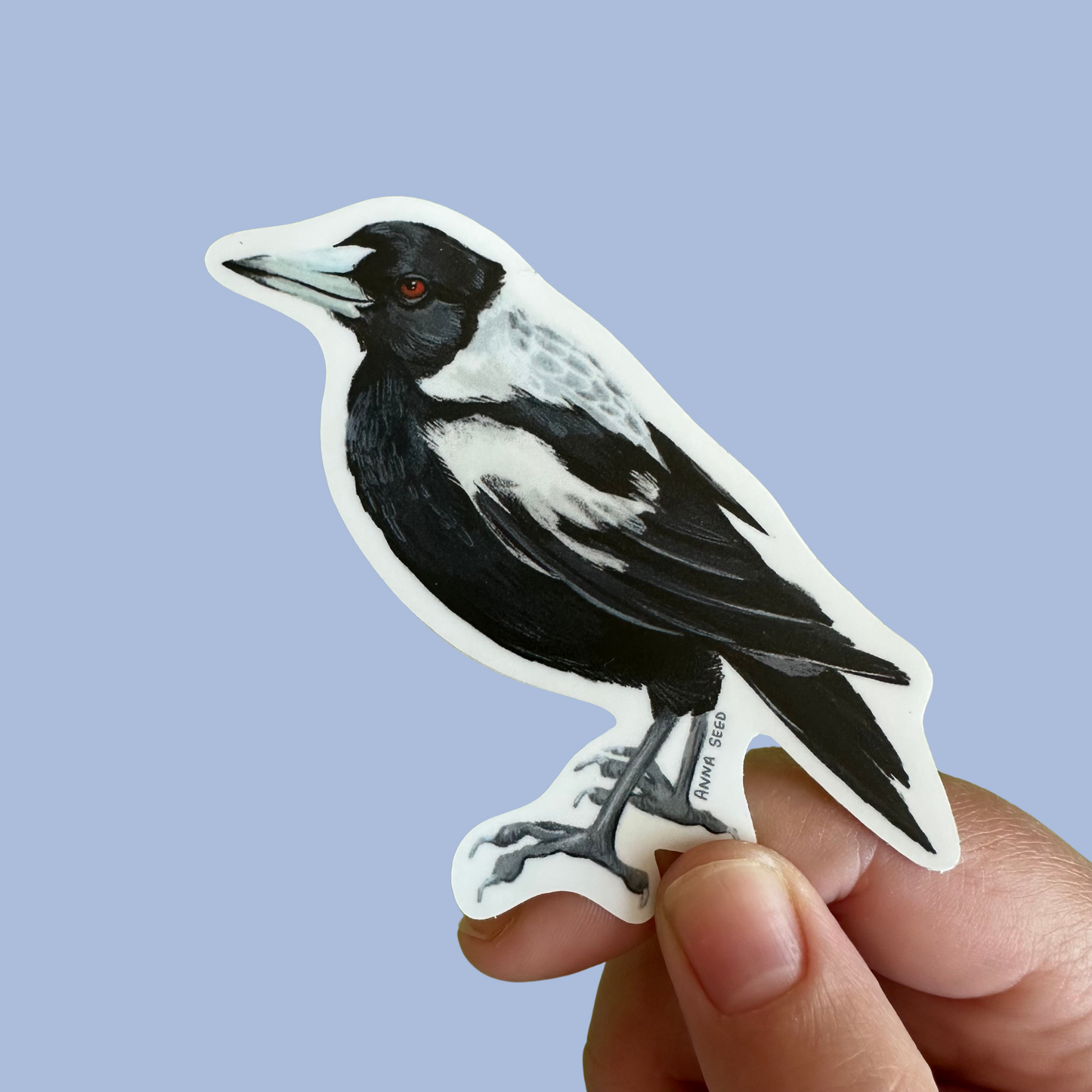 Sticker - Magpie -  Matte waterproof vinyl