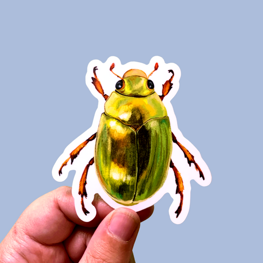 Sticker - Christmas Beetle - Matte waterproof vinyl