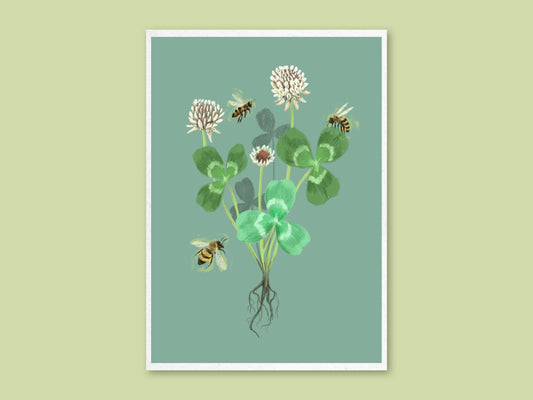Anna Seed Art | Art Print - Clover - Botanical illustration, wall art