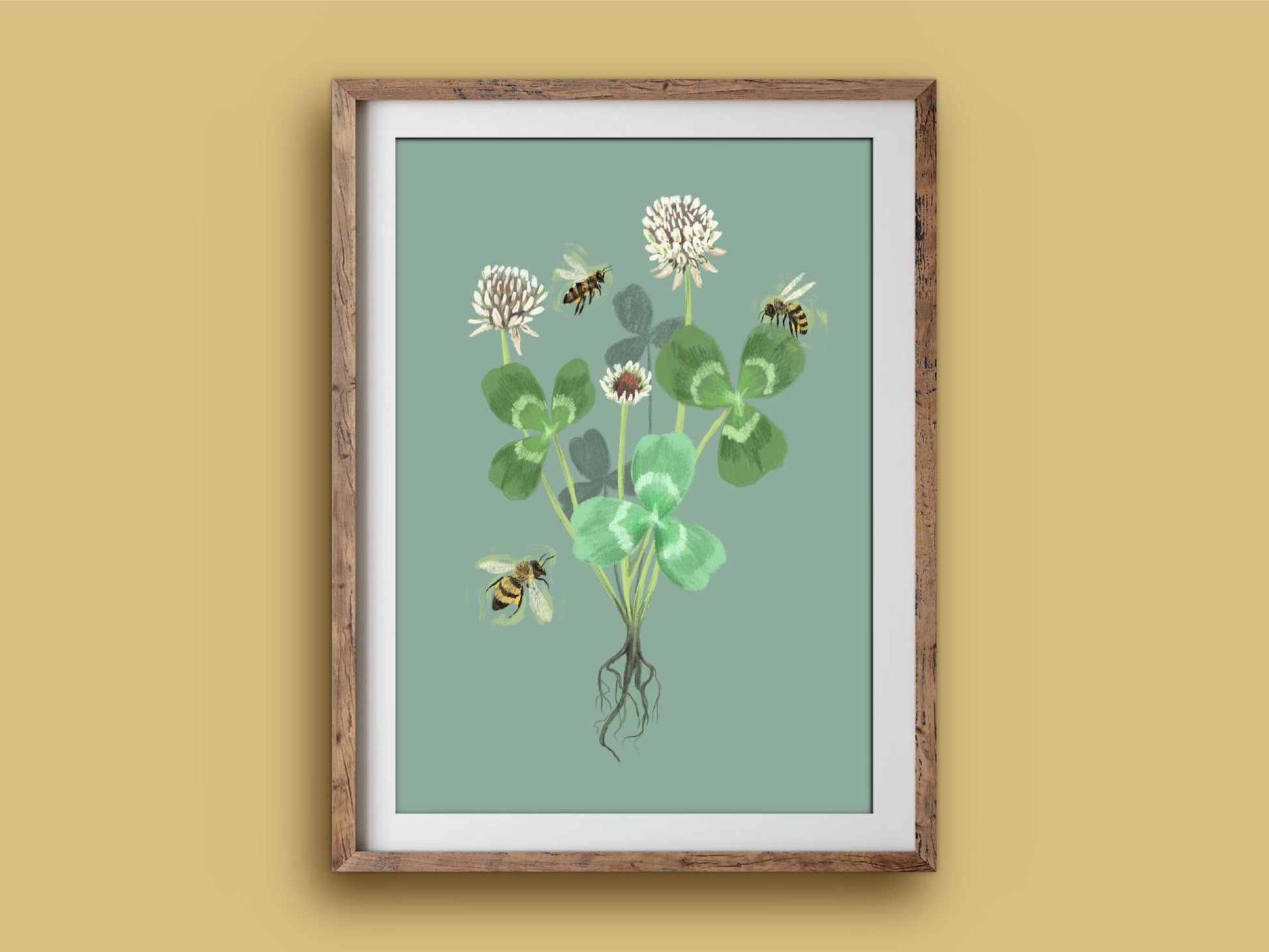 Anna Seed Art | Art Print - Clover - Botanical illustration, wall art