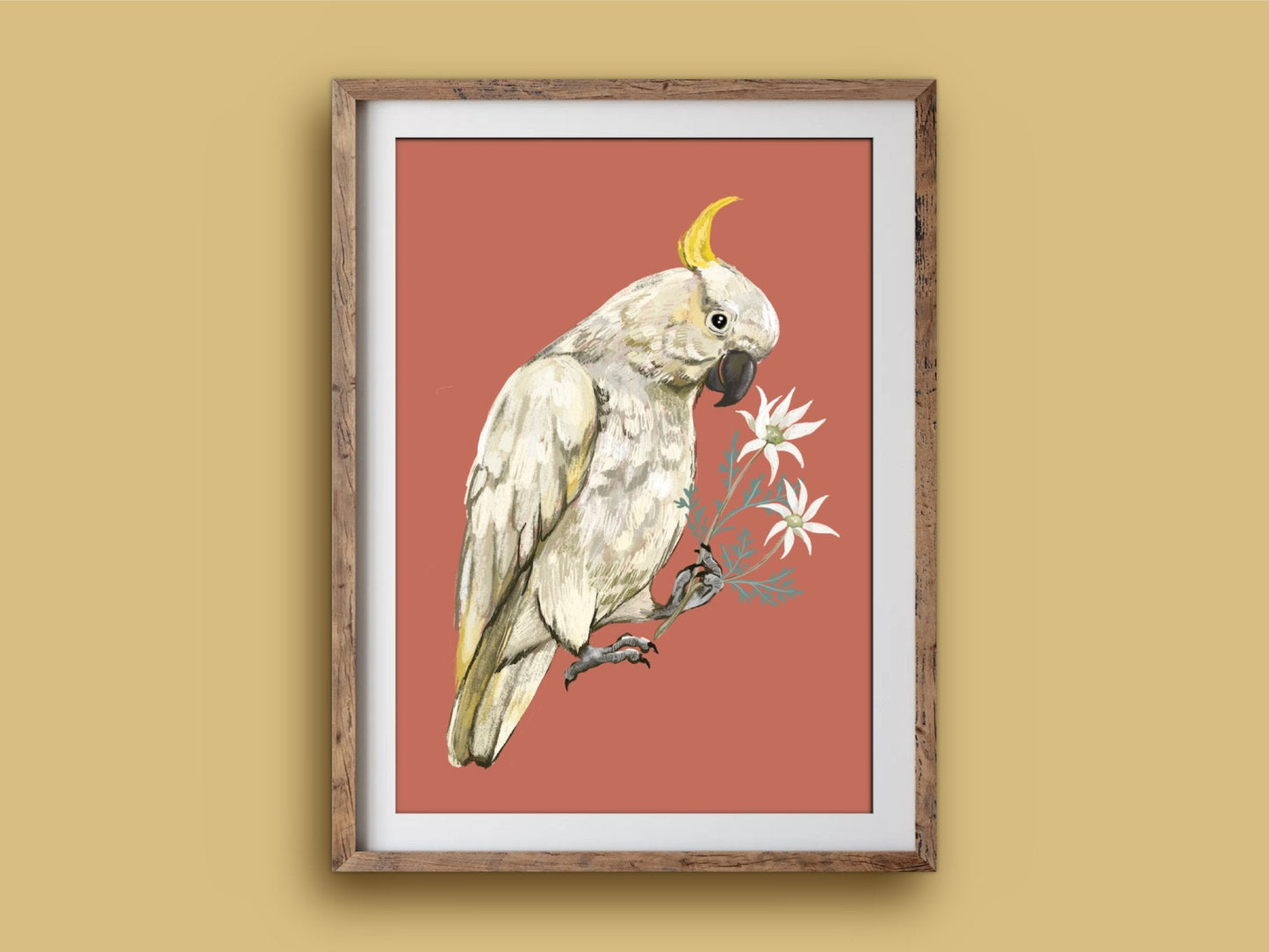 Anna Seed Art | Art Print - Cockatoo - Bird, Nature, Australian illustration, wall art