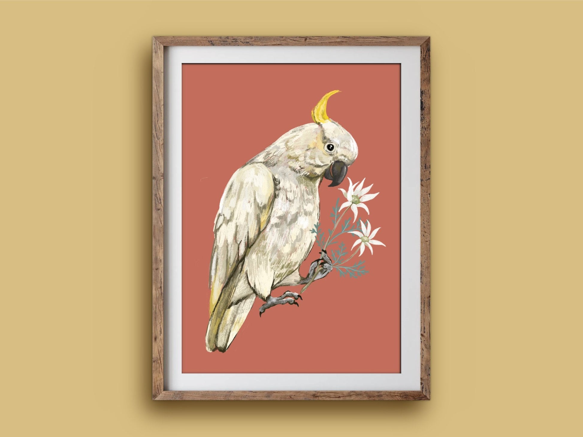 Anna Seed Art | Art Print - Cockatoo - Bird, Nature, Australian illustration, wall art