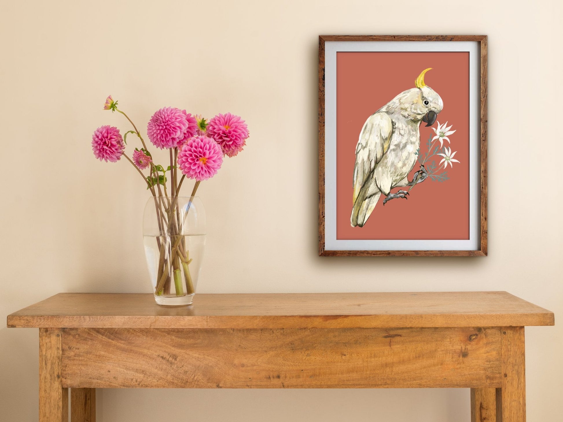 Anna Seed Art | Art Print - Cockatoo - Bird, Nature, Australian illustration, wall art