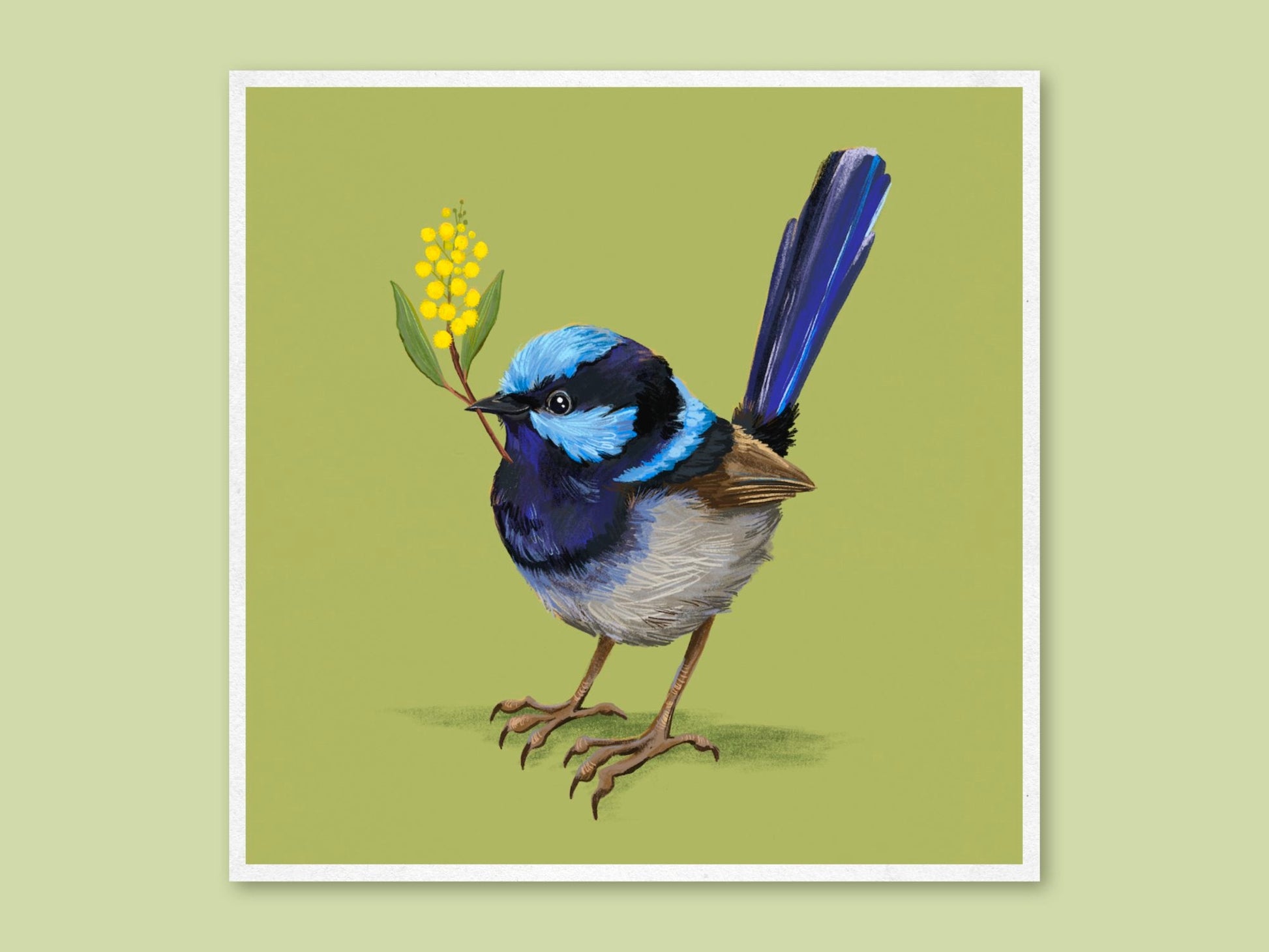 Anna Seed Art | Art Print - Fairy Wren - Cute illustration, wall art
