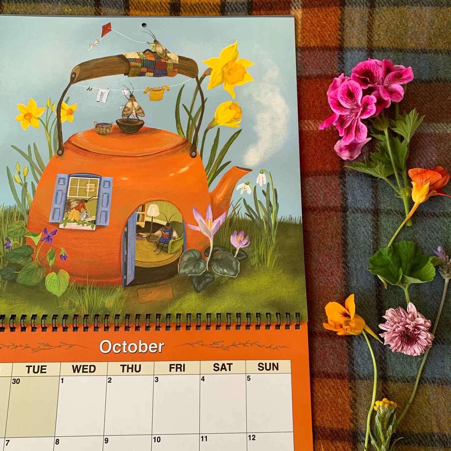 PRESALE - 2025 Wall Calendar - 12 Delightful Anna Seed Illustrations