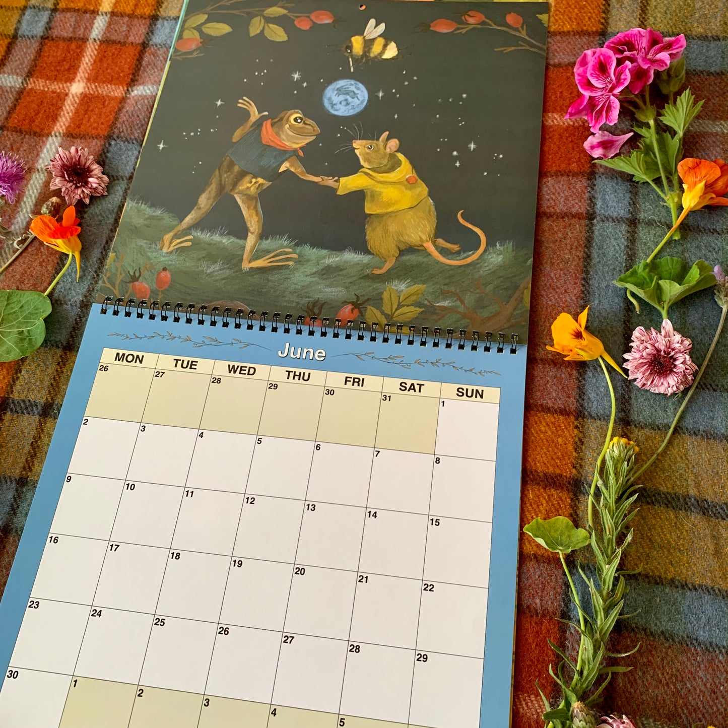 PRESALE - 2025 Wall Calendar - 12 Delightful Anna Seed Illustrations