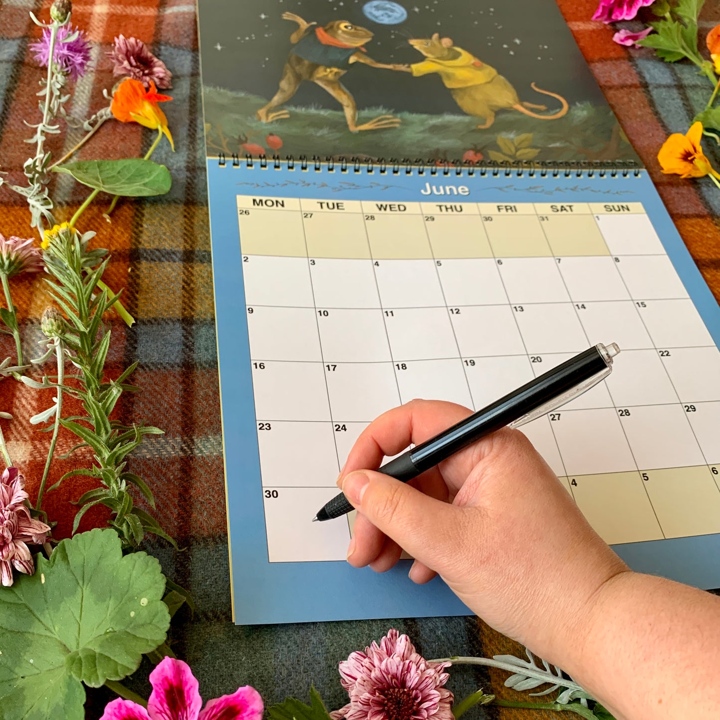 PRESALE - 2025 Wall Calendar - 12 Delightful Anna Seed Illustrations