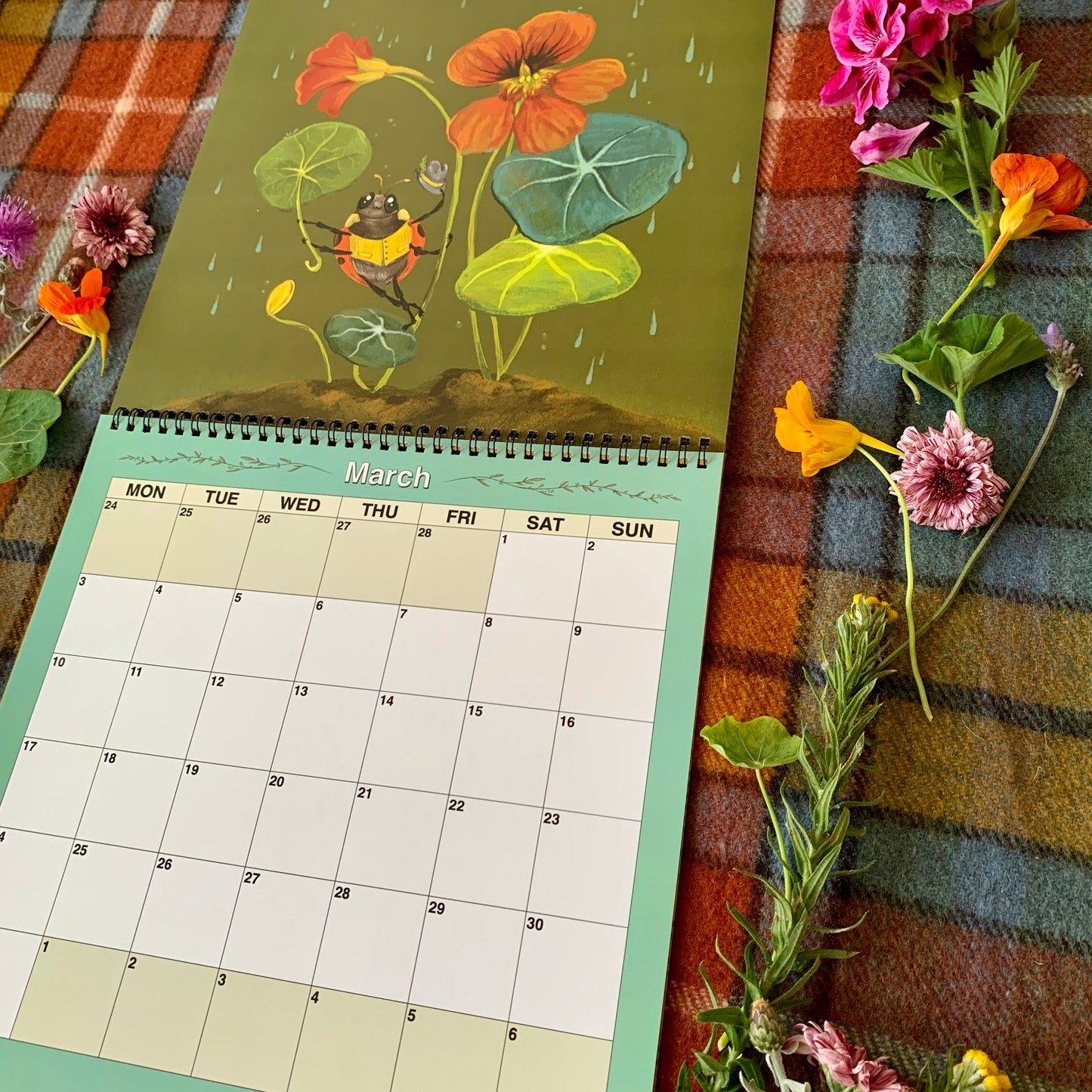 PRESALE - 2025 Wall Calendar - 12 Delightful Anna Seed Illustrations