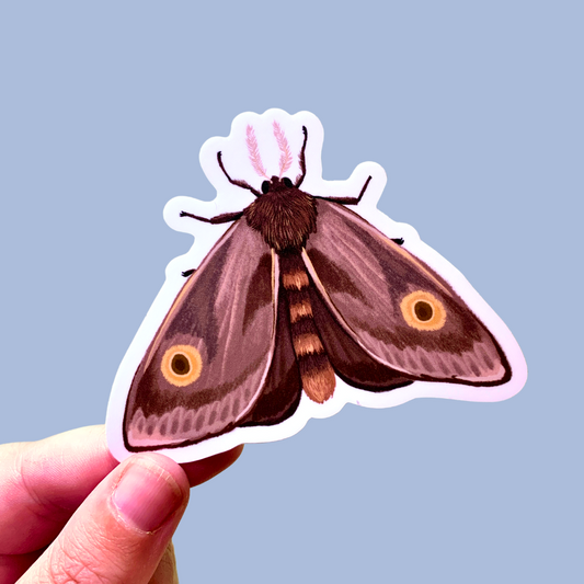 Sticker - Cute Moth -  Matte waterproof vinyl