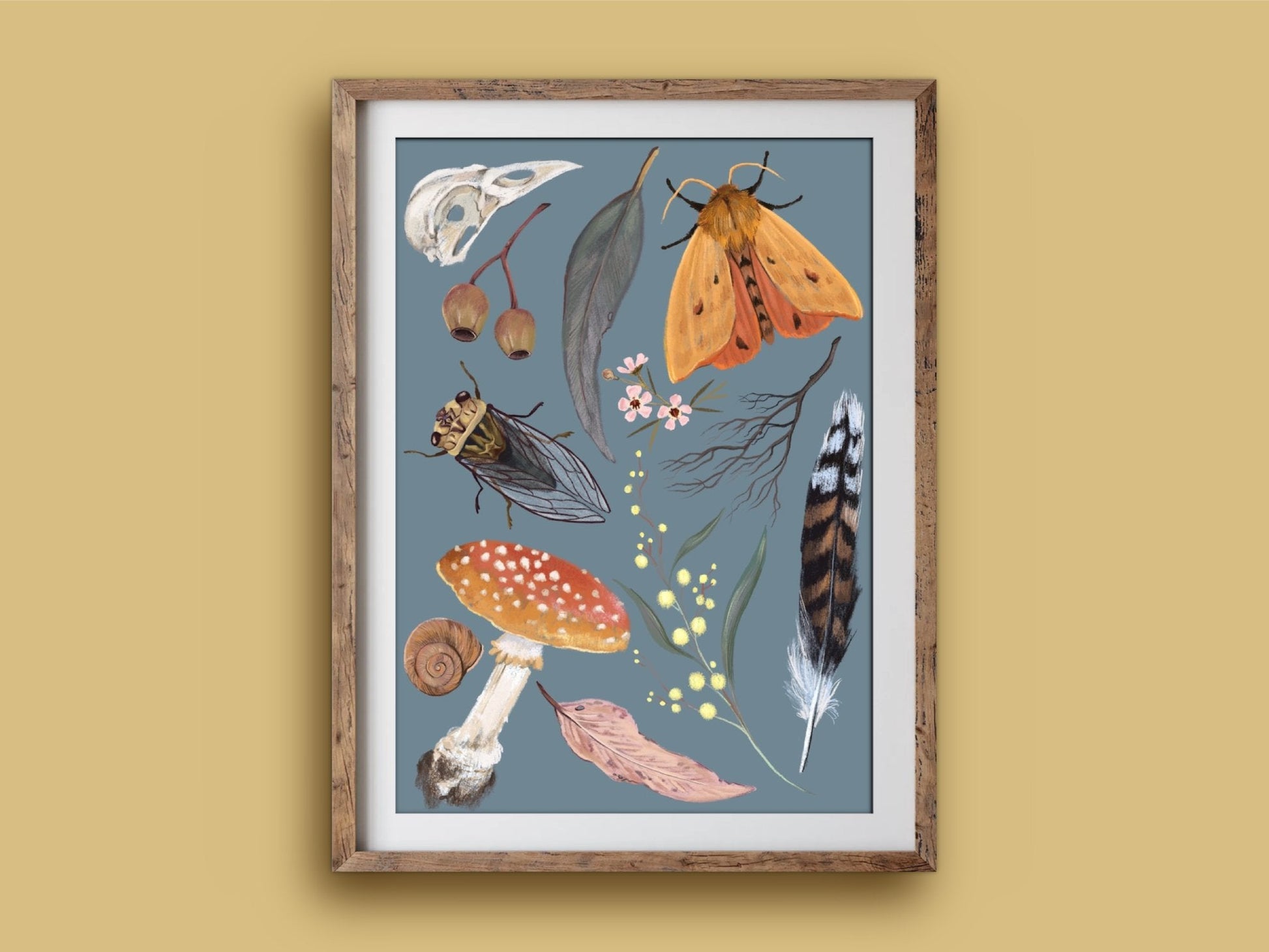 Anna Seed Art | Art Print - Nature Collection - Botanical illustration, wall art