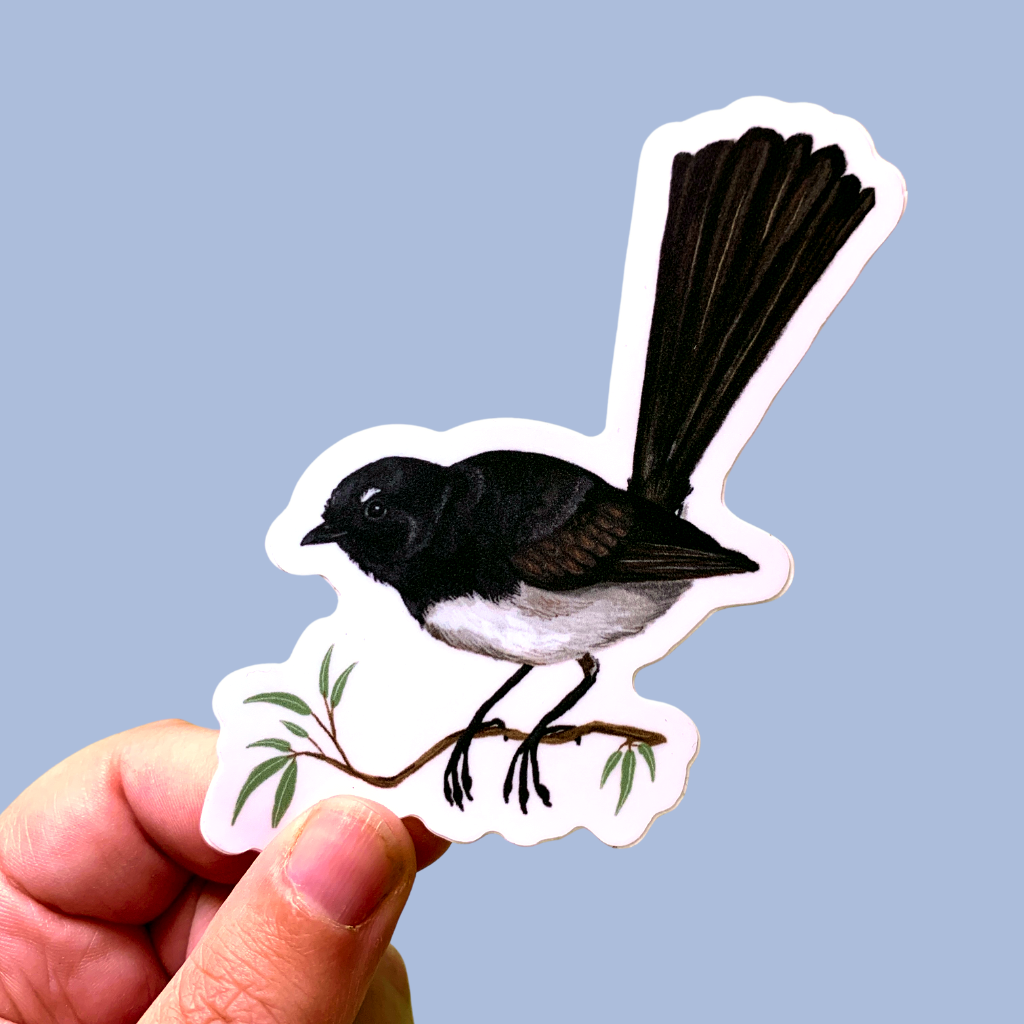 Sticker - Willie Wagtail -  Matte waterproof vinyl