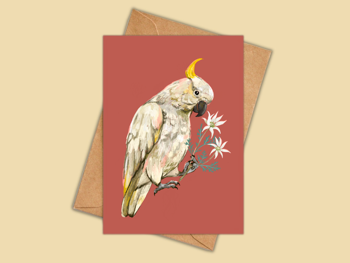 Cockatoo greeting card by Anna Seed: a sulphur-crested cockatoo holding flannel flowers on a terracotta red background
