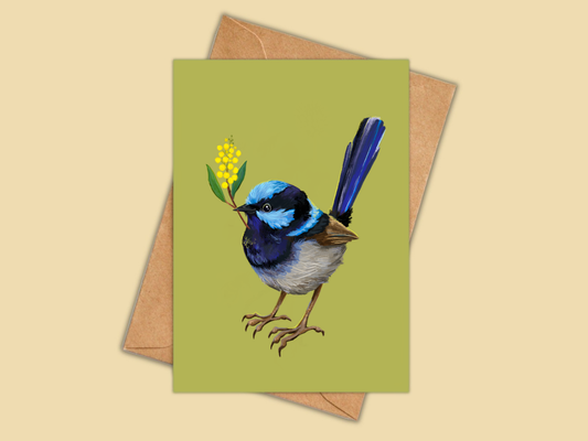 Fairy Wren greeting card by Anna Seed: a blue superb fairy-wren holding a sprig of yellow wattle, on olive green