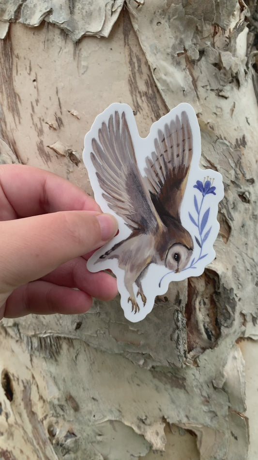 Sticker - Barn Owl