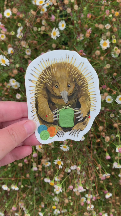 Video: the knitting echidna sticker held in a hand above a lawn dotted with tiny white daisies