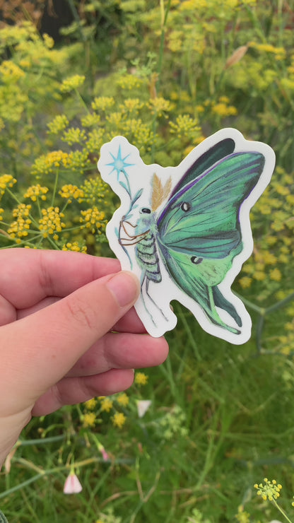 Video: the green luna moth sticker held in a hand in front of yellow-flowering fennel in a garden
