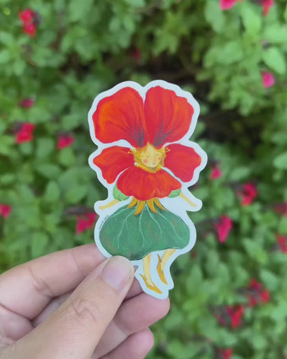 Video: the Nasturtium Lady sticker held in a hand in front of a green garden shrub with red flowers