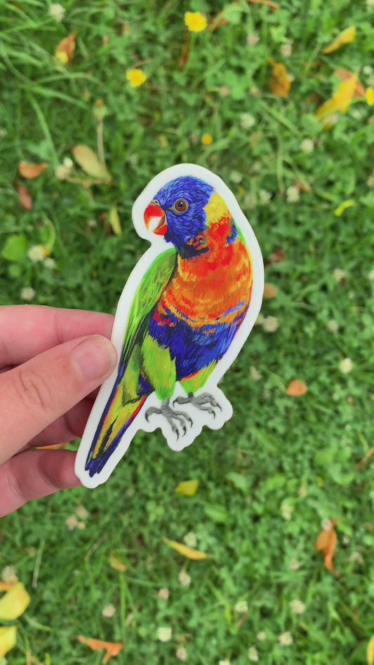 Sticker - Rainbow Lorikeet