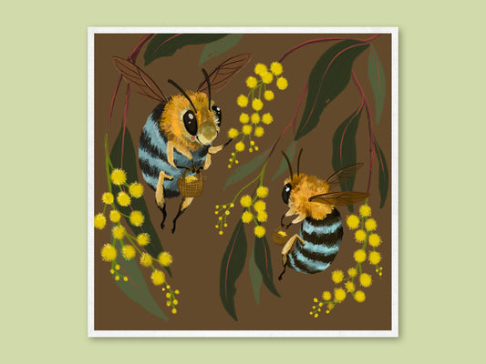 Blue-banded Bees art print by Anna Seed: two blue-striped bees with baskets among golden wattle and gum leaves