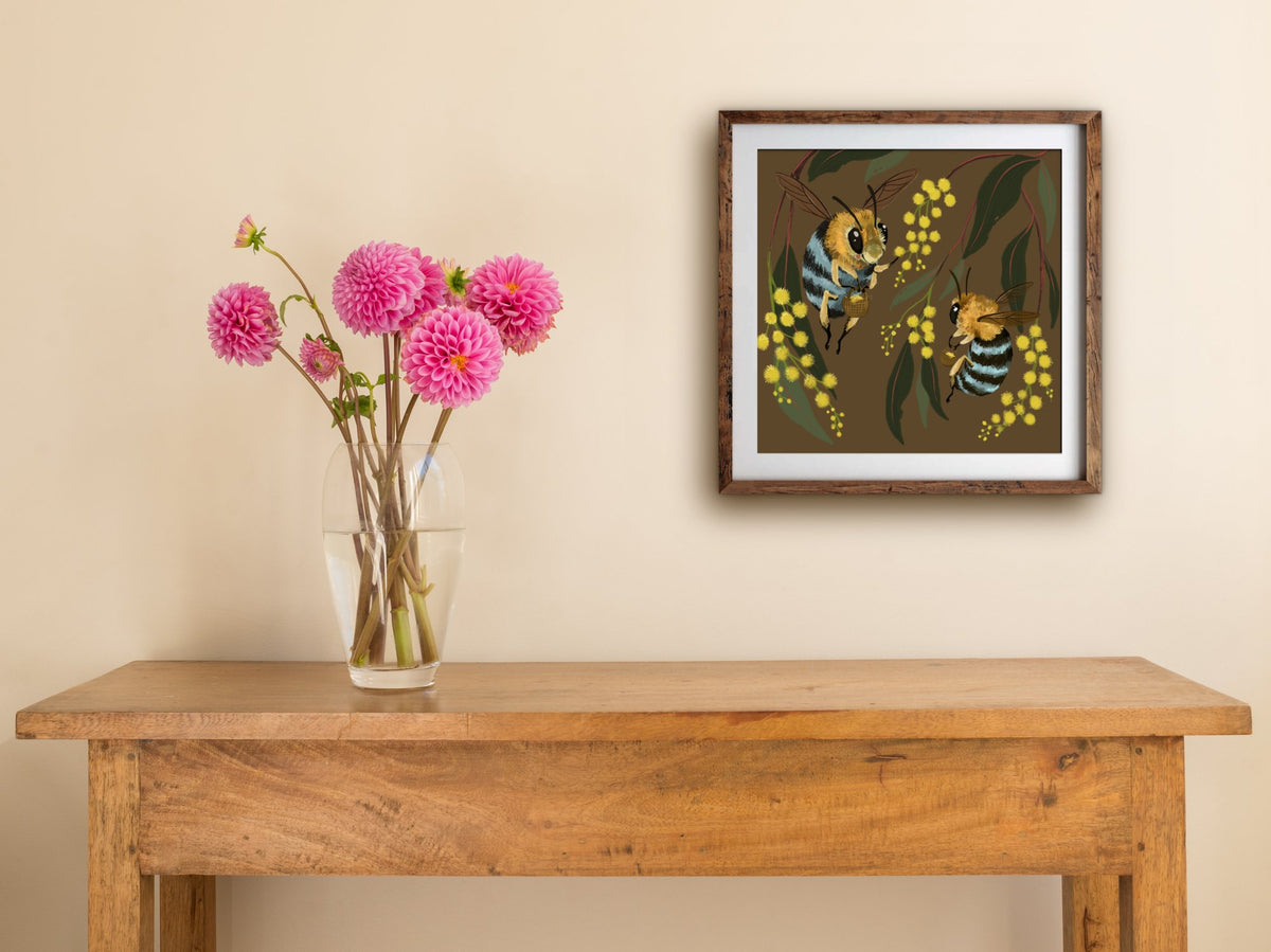 Blue-banded Bees print of native bees and wattle, framed on a cream wall above a wooden table with pink dahlias