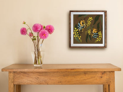 Blue-banded Bees print of native bees and wattle, framed on a cream wall above a wooden table with pink dahlias