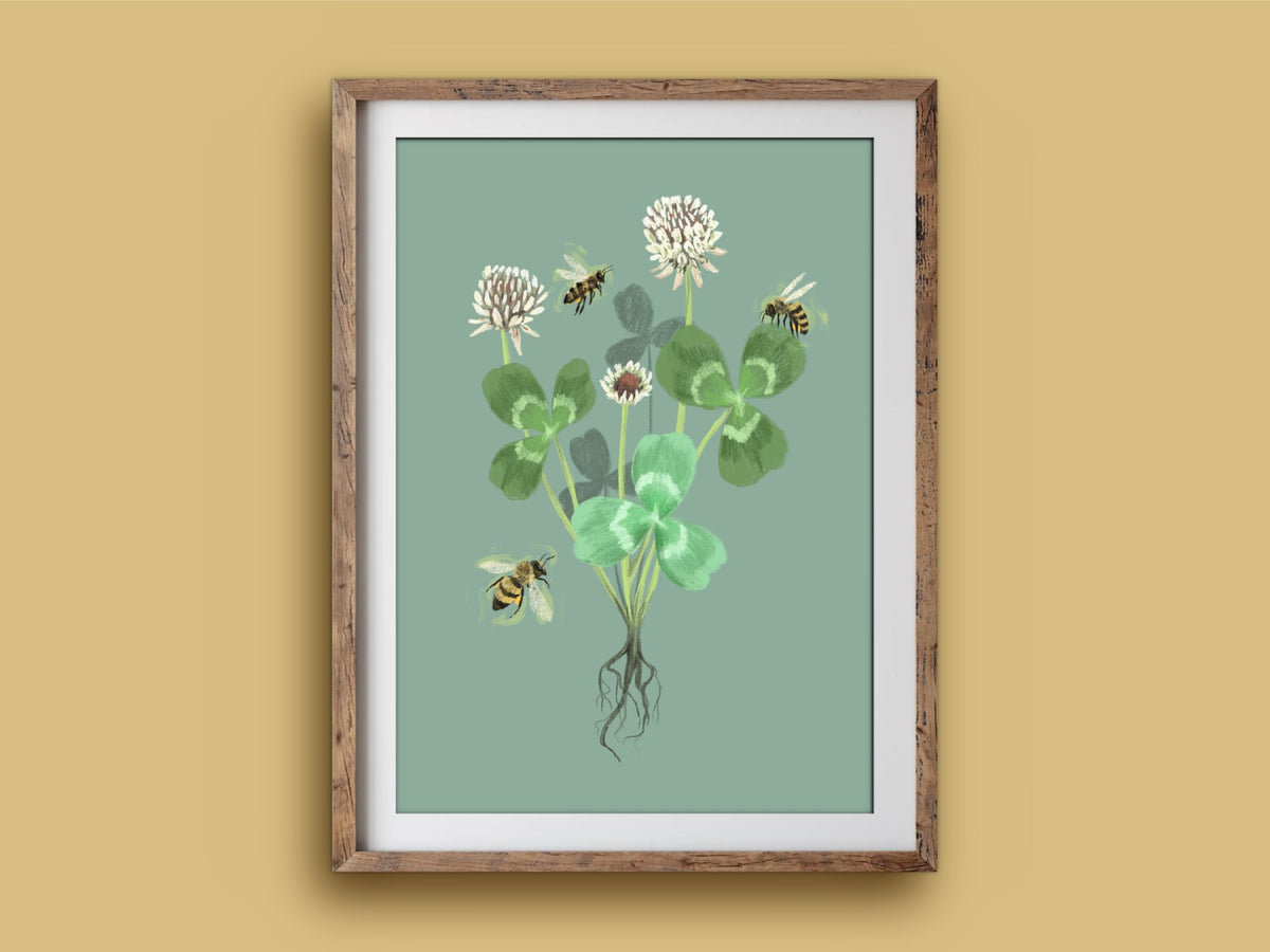 Clover print in a rustic wooden frame on a mustard wall, showing a clover plant with flowers, roots and bees on soft green