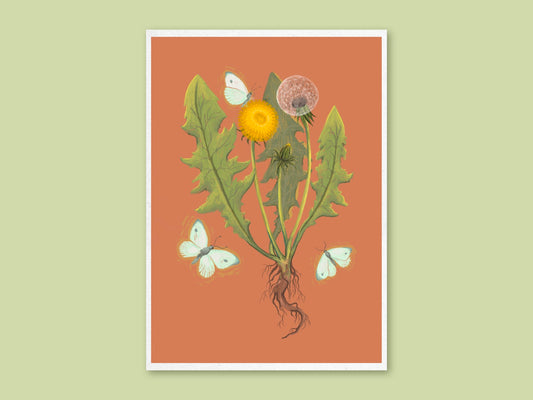 Dandelion art print by Anna Seed: a dandelion plant in flower and seed head with roots and white cabbage moths, on burnt orange
