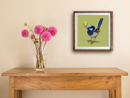 Framed Fairy Wren print of a superb fairy wren with golden wattle on green, hung above a wooden side table with pink dahlias
