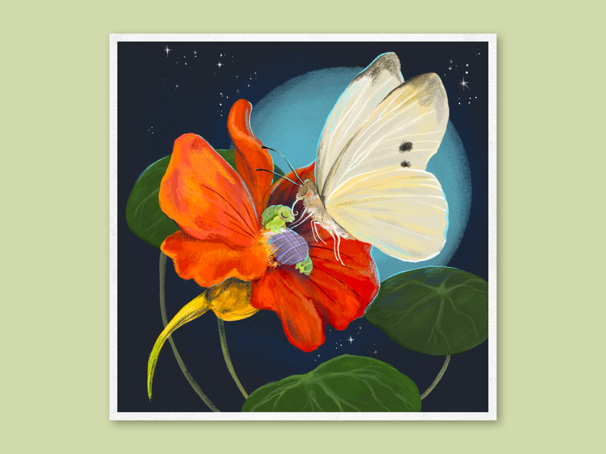 Flowerbed art print by Anna Seed: a white butterfly kisses a green caterpillar tucked into an orange nasturtium under a blue moon