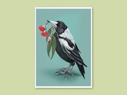 Magpie art print by Anna Seed: an Australian magpie holds a sprig of red flowering gum blossom in its beak, on soft teal