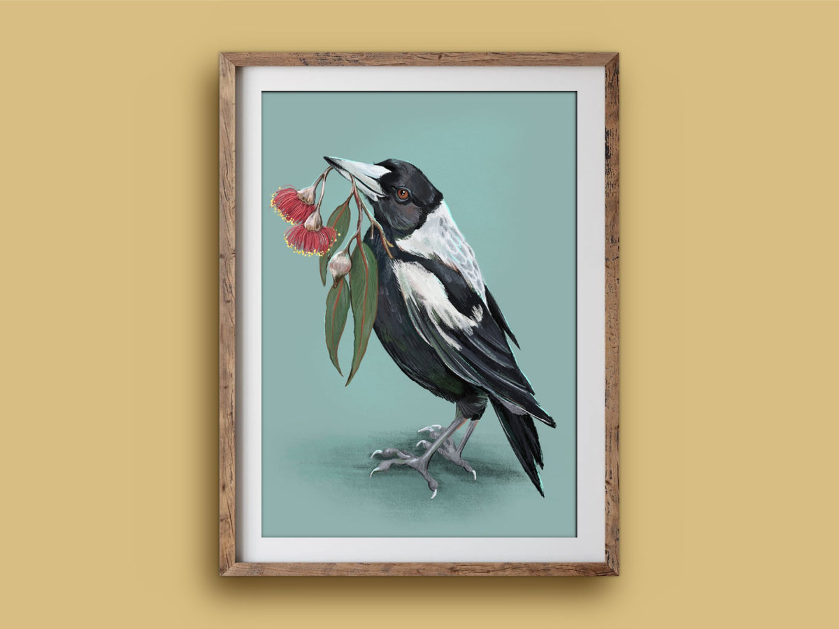 Magpie print in a rustic timber frame: a black and white magpie carrying gum leaves and red blossoms against duck-egg blue
