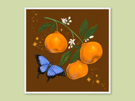 Mandarins art print by Anna Seed: a blue Ulysses butterfly visits a branch of mandarins and white blossom on rich brown