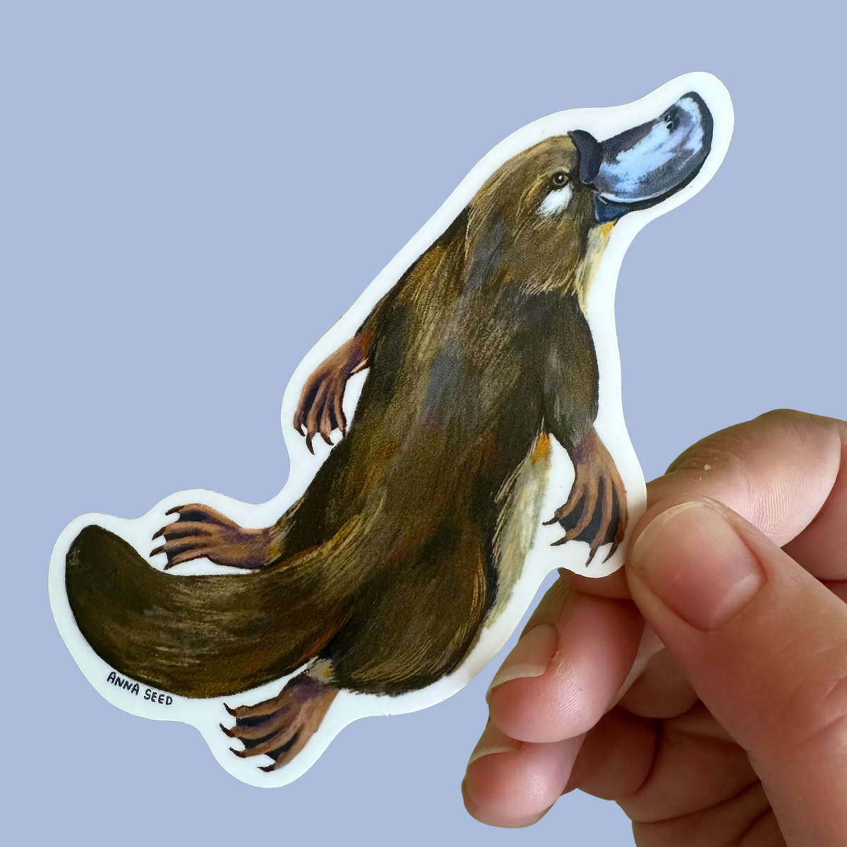 Platypus sticker by Anna Seed: a brown platypus with a grey-blue bill paddling along, held against a blue backdrop