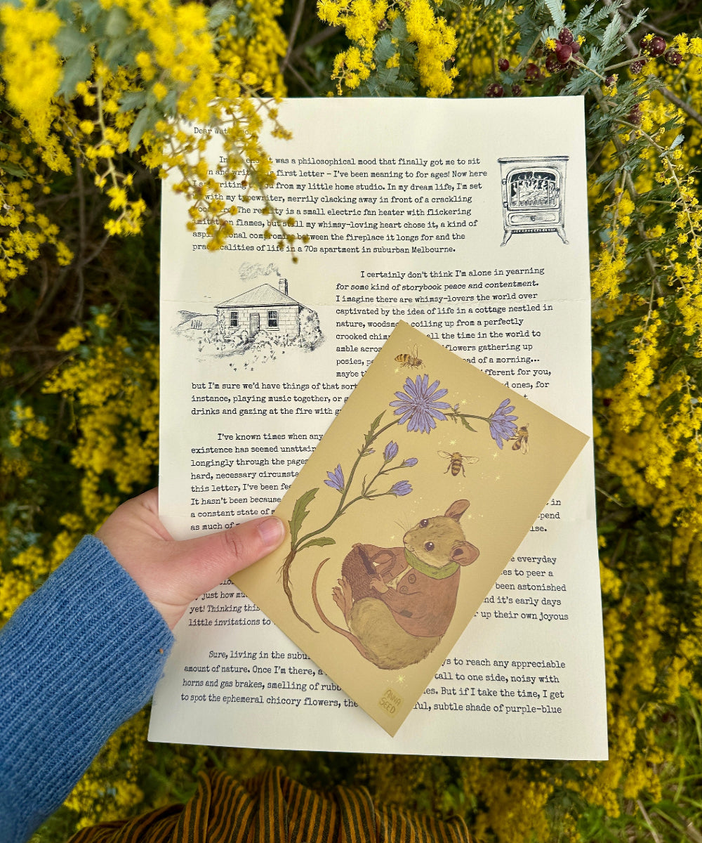 Whimsy Way letter #1 by Anna Seed, held with a mouse and chicory art card in front of golden wattle blossom