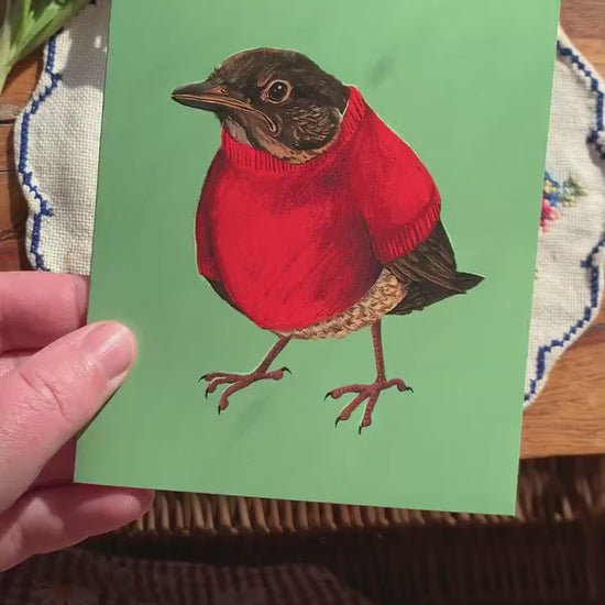 Greeting Card - Grumpy Bird. Funny illustration