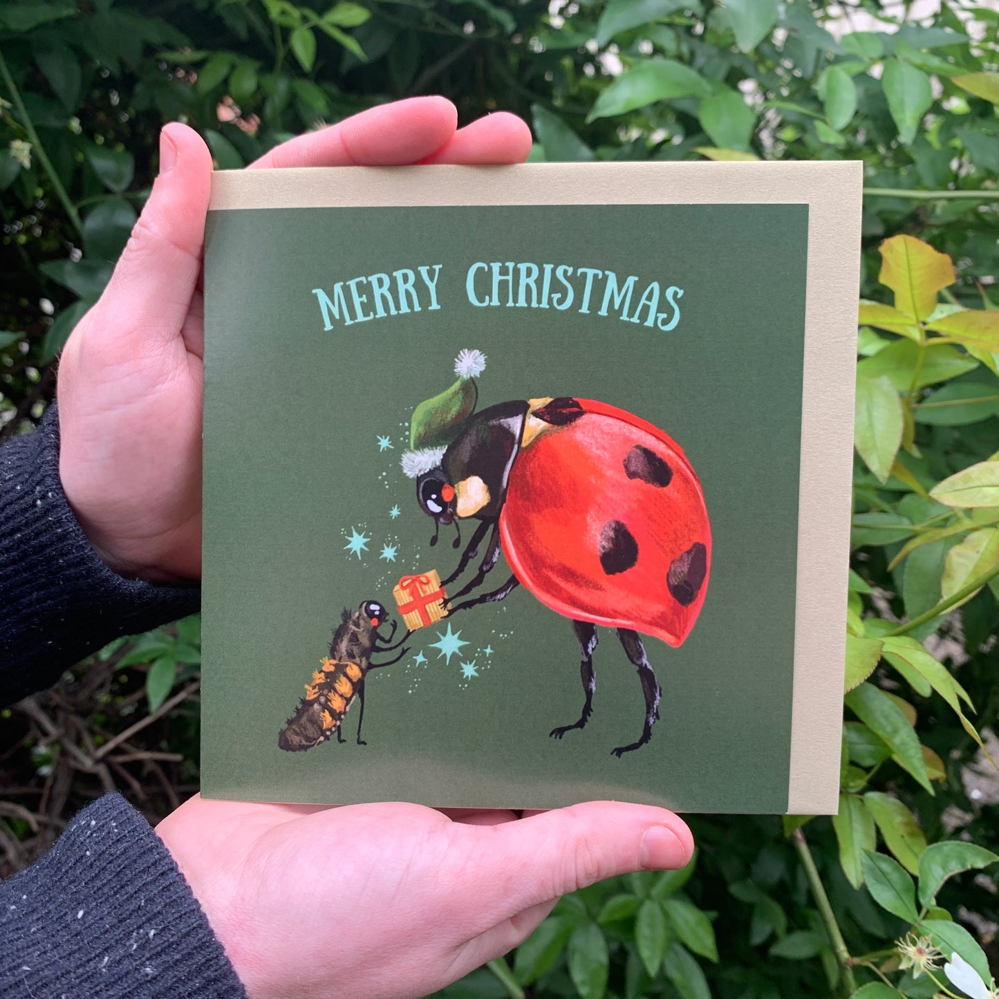 Anna Seed Art | Illustrated Christmas Card! "Merry Christmas" - Blank square seasonal greeting card